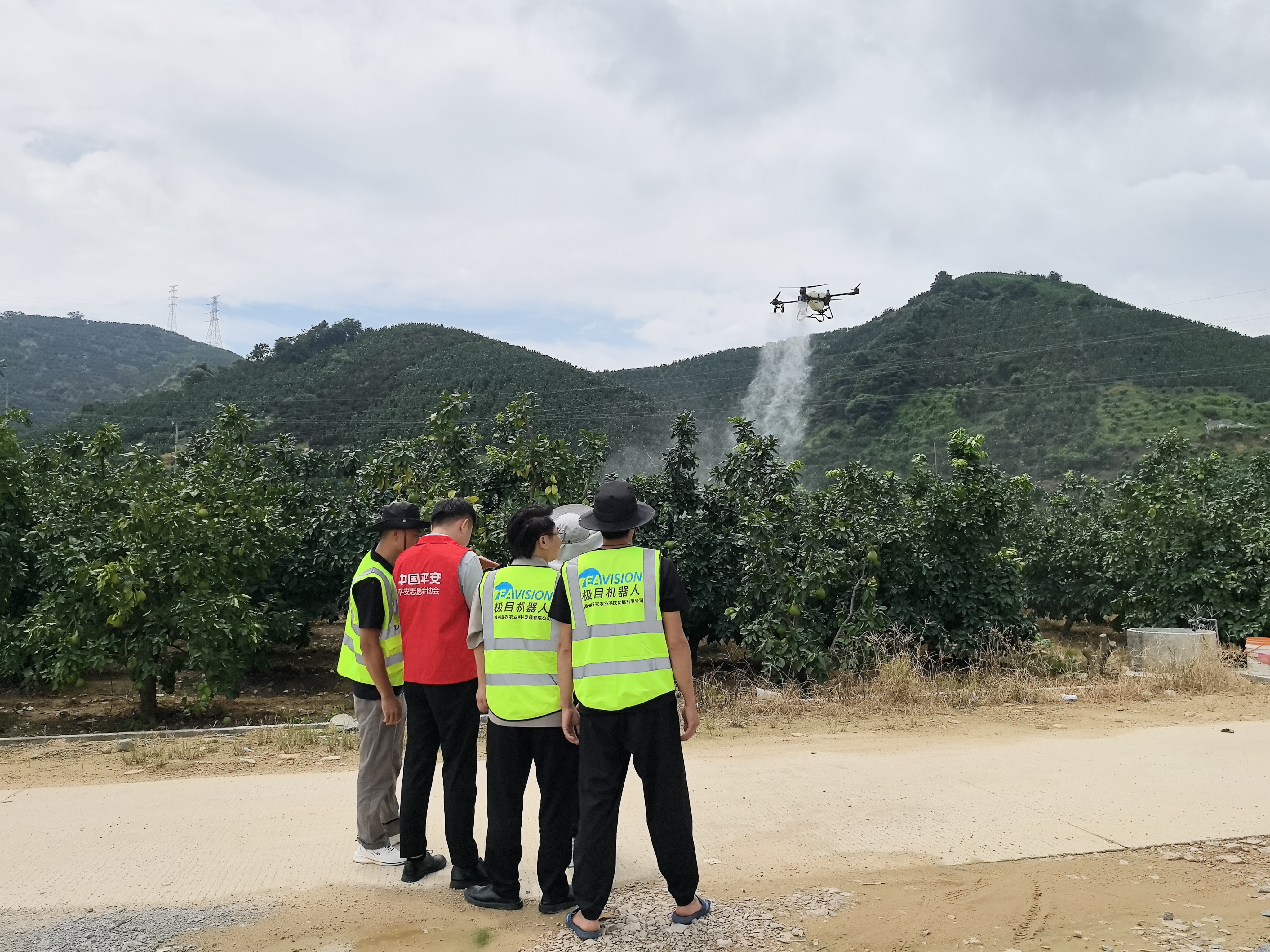 无人机+保险双擎驱动 平和蜜柚产业迎来更全保障 福建平安产险