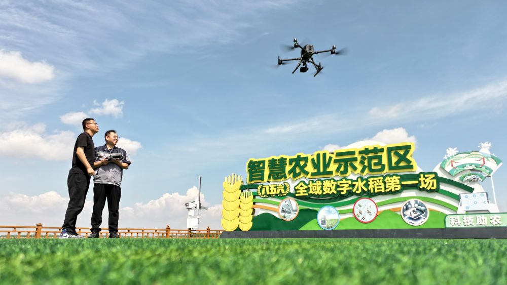 科技赋能解锁插秧“新姿势”(图1)