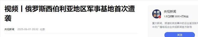 乌军突袭俄四大基地欧盟态度反转引热议德外长称俄不可击败(图5)