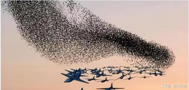 解放军装备百万架无人机？台退将直言：一万架台军都招架不住(图2)
