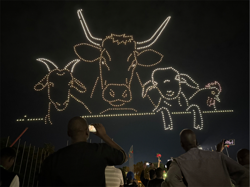 中国无人机表演惊艳马里国庆(图1)