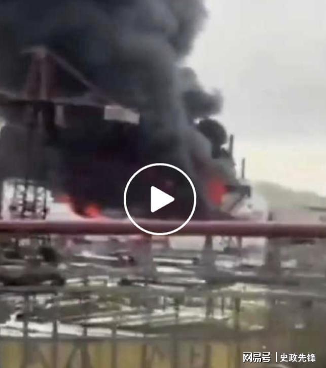 麦当劳向乌克兰捐款1500万美元美乌联手研制顶尖无人机(图6)