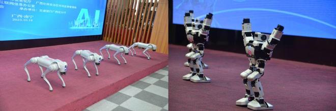 广西第四届电子商务行业发展大会成功举办(图5)