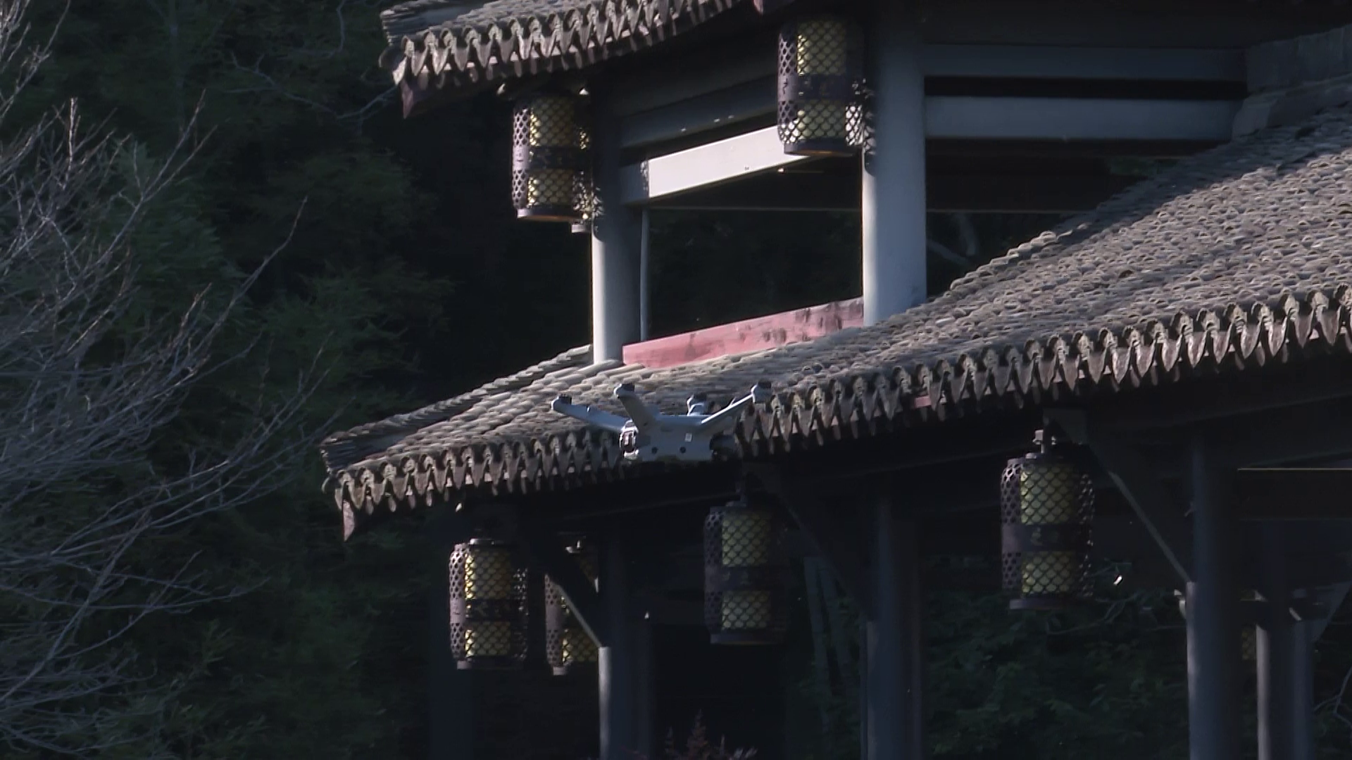 送外卖、自助拍照、“农业管家”原来无人机还有这用处(图3)