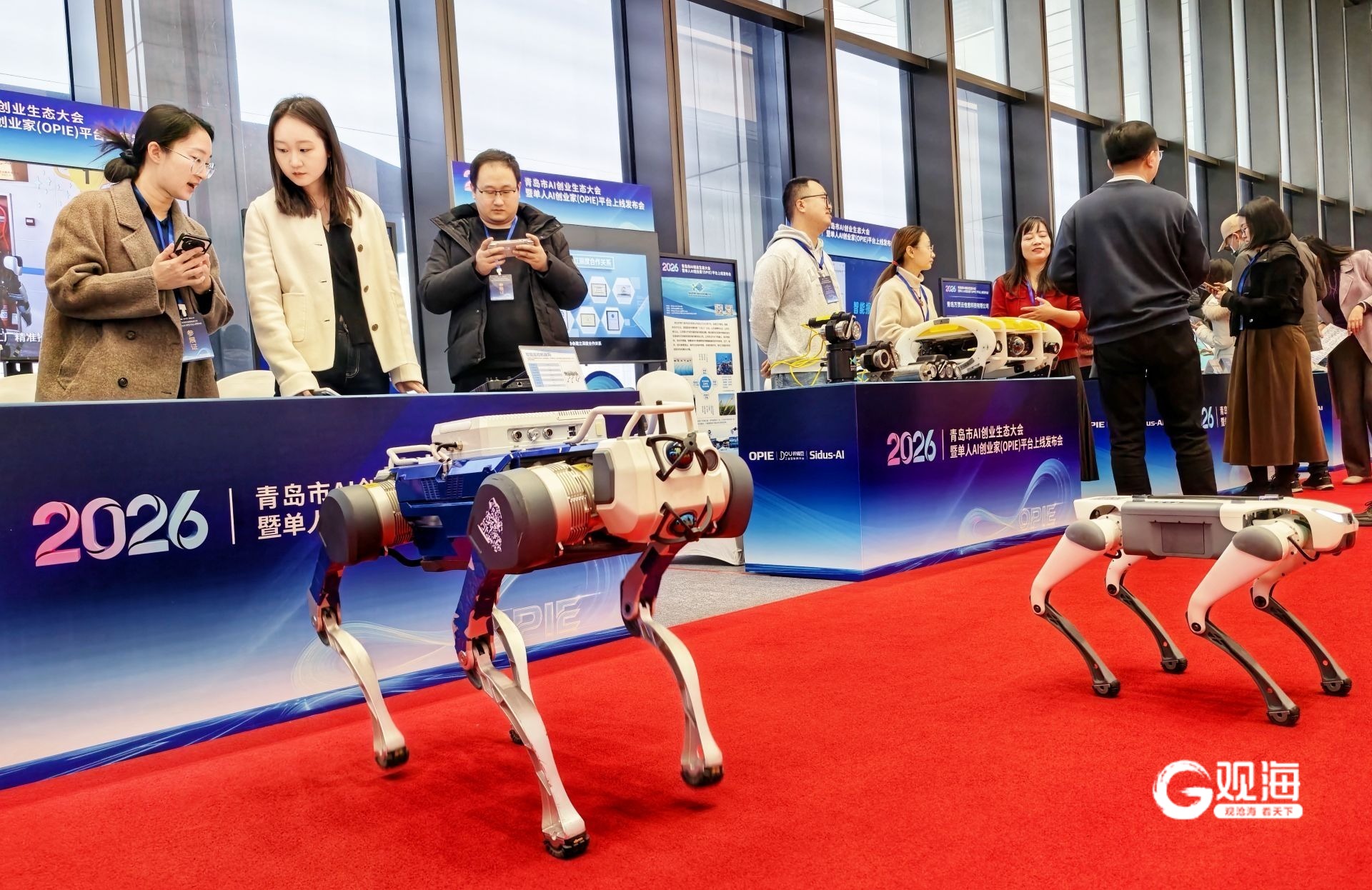 抢滩“单人AI创业”青岛力争为全国“打样”(图2)