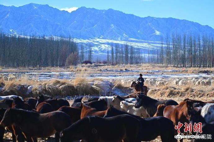 当无人机遇见蒙古马肃北新牧人如何用文旅融合续写马背上的翅膀？