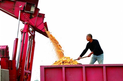 深挖单产潜力中国饭碗咱端得牢！(图2)