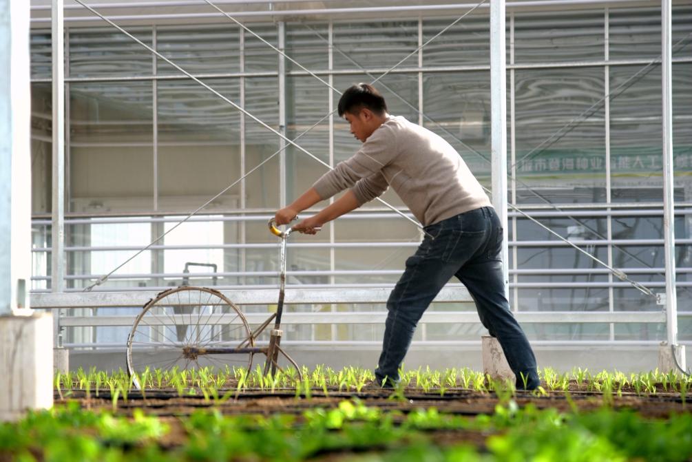 从全国两会看全过程人民民主新实践(图3)