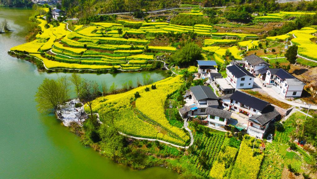 从全国两会看全过程人民民主新实践(图12)