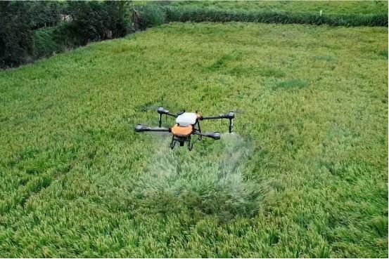 哈工大以AI播种“农业未来”(图4)