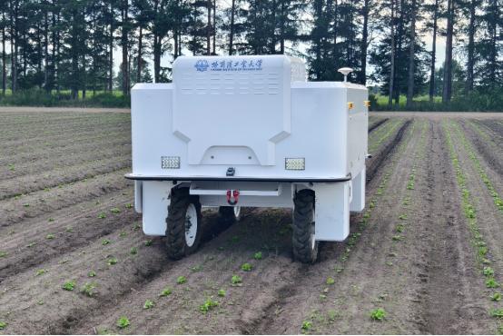 哈工大以AI播种“农业未来”(图3)