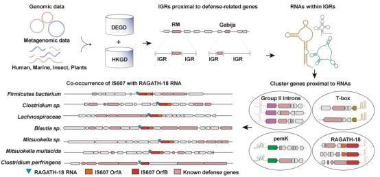 哈工大以AI播种“农业未来”(图6)