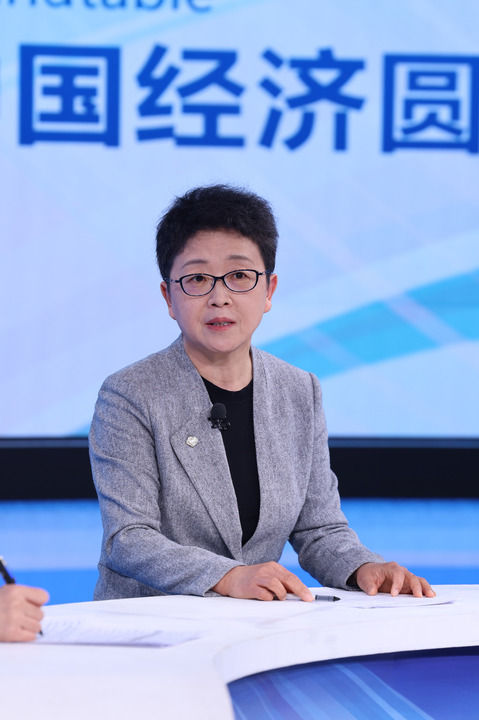 中国经济圆桌会共话科技创新与产业创新深度融合(图4)