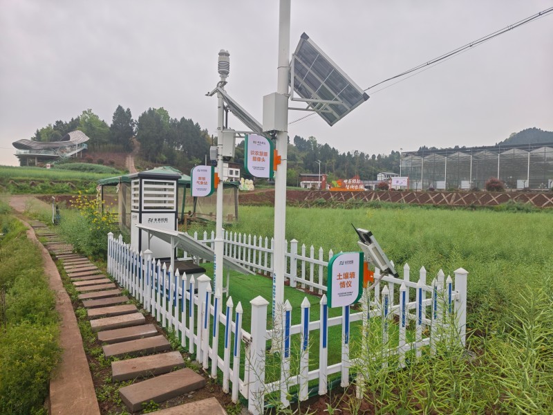 无人机25分钟扫遍400亩！四川乐至“帅府粮仓”藏着个“智慧大脑”(图3)