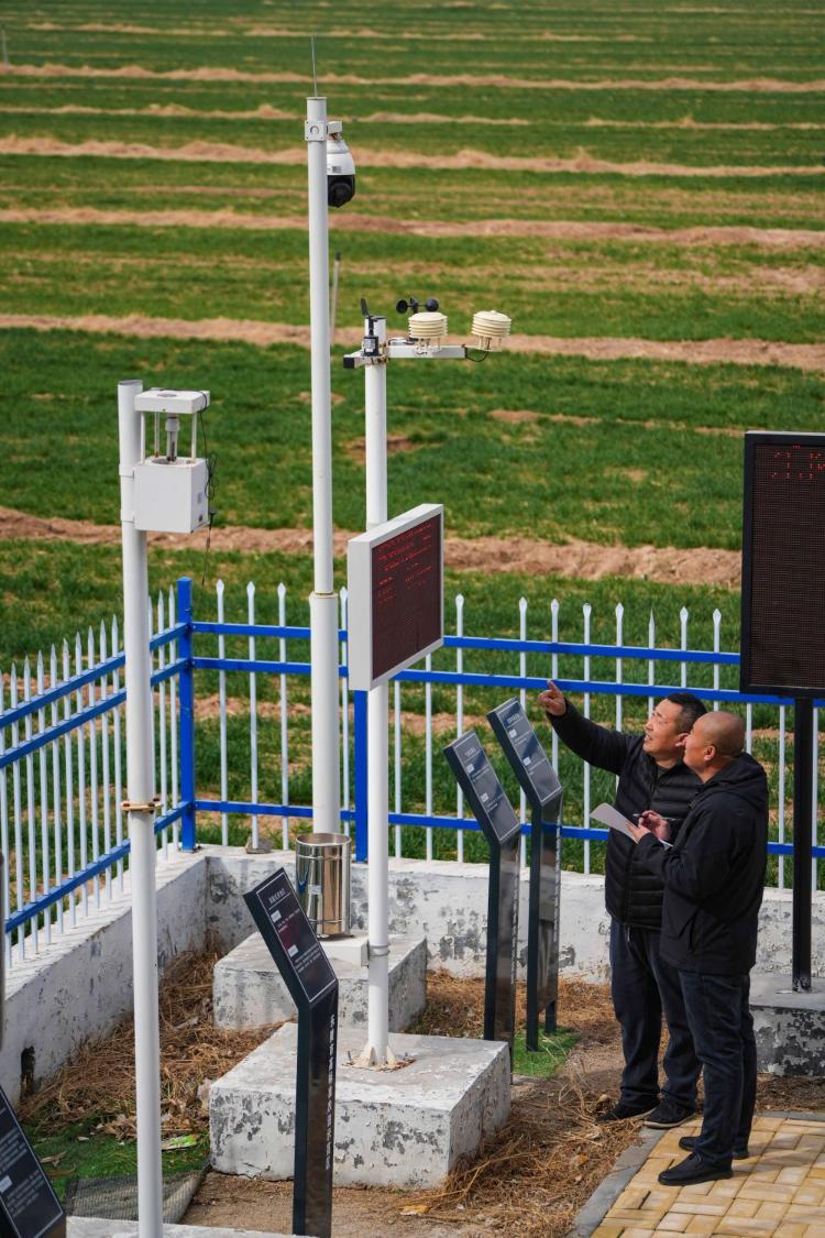 数智赋能：山东加快智慧农业发展(图2)