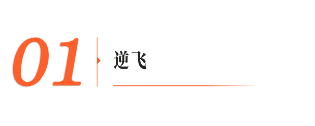 四个上海交大00后造出会飞的“机关朱雀”(图3)