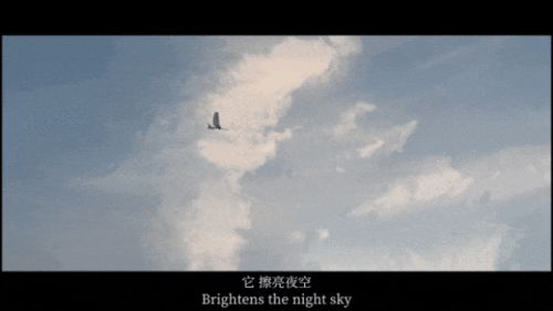 四个上海交大00后造出会飞的“机关朱雀”(图2)