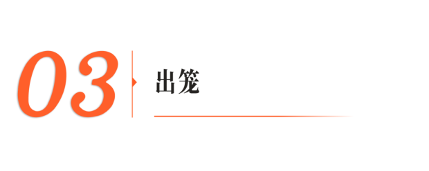 四个上海交大00后造出会飞的“机关朱雀”(图10)